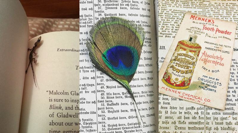 20 sorpresas que los lectores encontraron en un libro de segunda mano