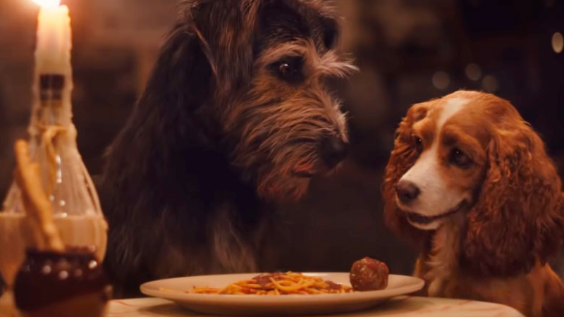 Lanzan tráiler oficial de “La Dama y el Vagabundo” en live action | VIDEO