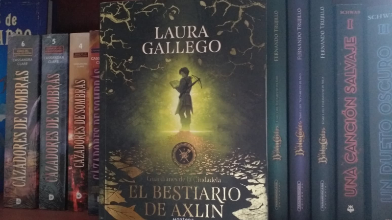 Una aldeana, un libro y millones de monstruos | RESEÑA: Guardianes de la Ciudadela 1