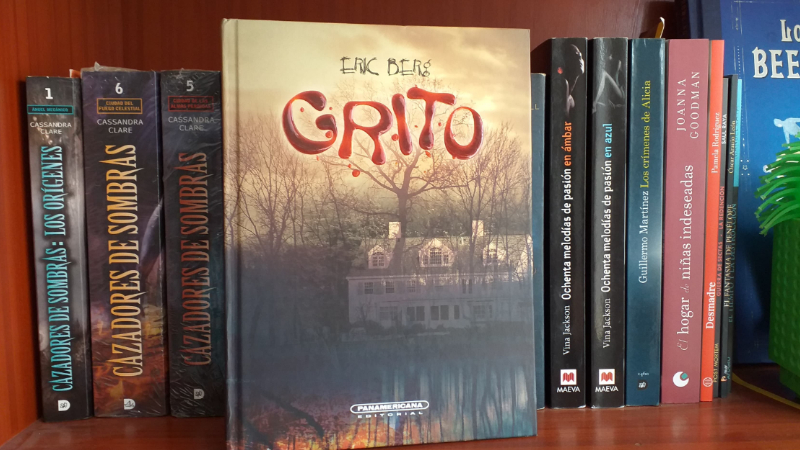 Sucedió un crimen y ella lo resolverá | RESEÑA: Grito