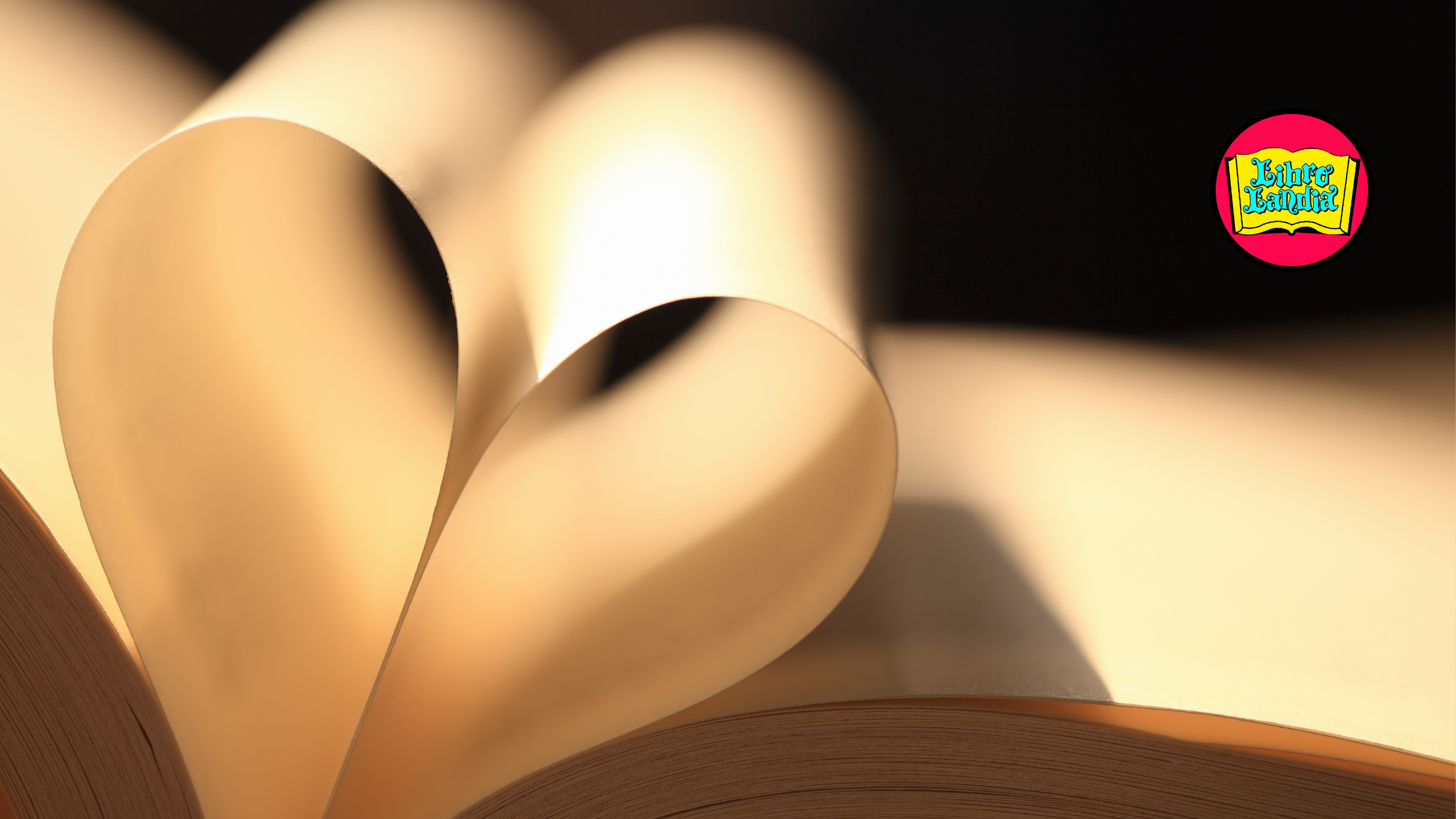 5 razones para enamorarte de una persona que ama leer libros