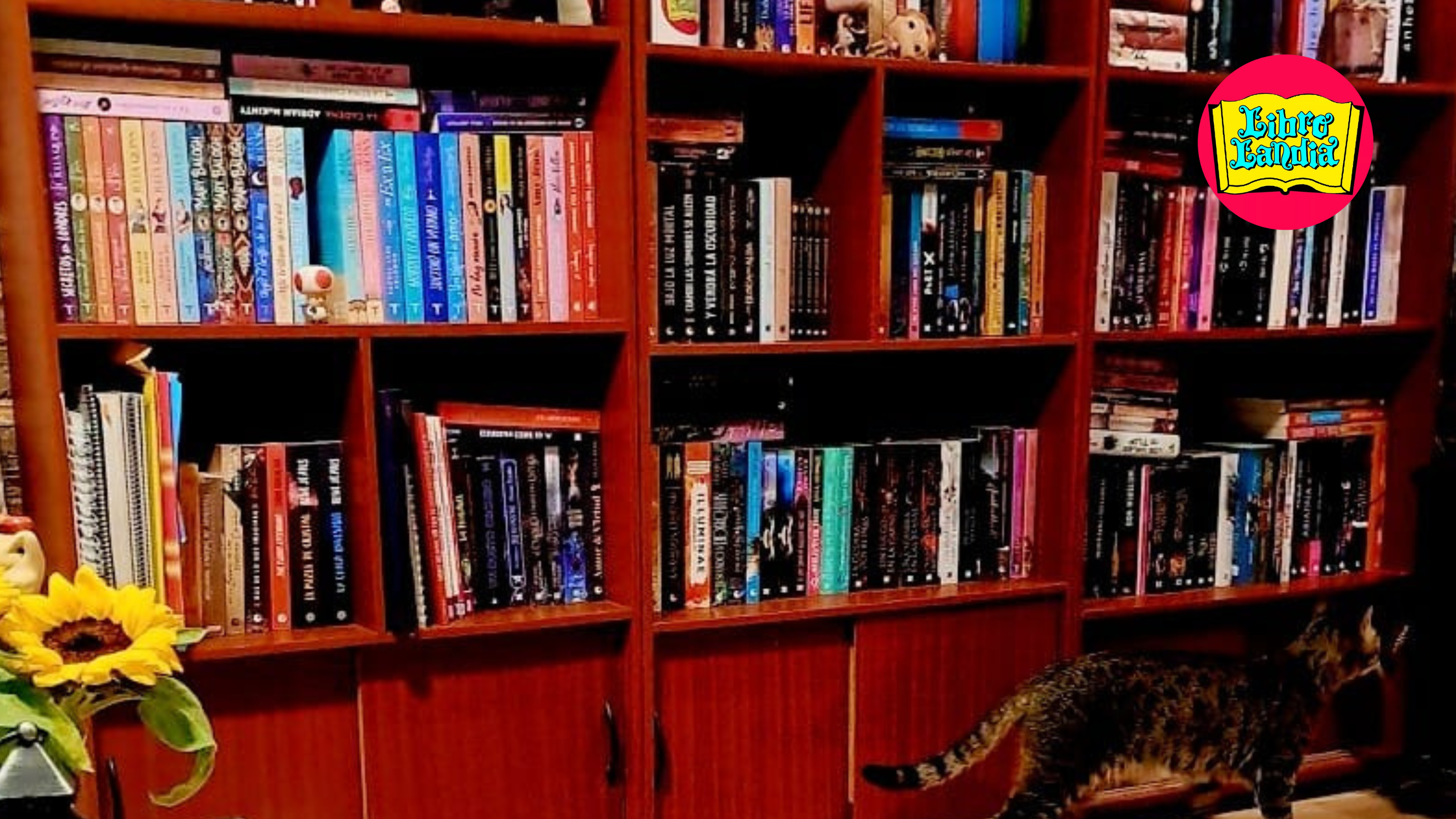 ¿Qué es tsundoku y qué tiene que ver con los libros?