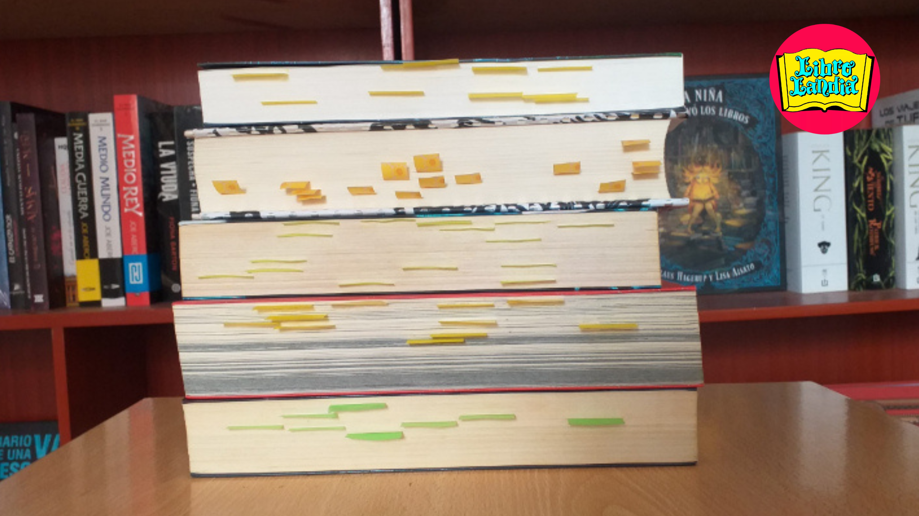 Cómo cuidar tus libros: 5 consejos prácticos para conservarlos toda la vida